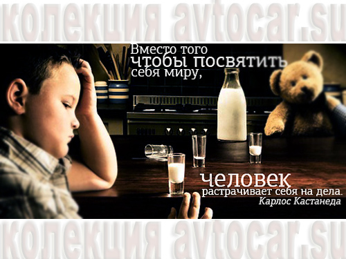 мир или дела Карлос Кастанеда