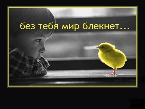 мир и ты