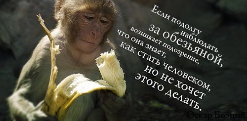 как стать человеком в афоризме