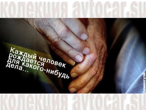 афоризмы в картинках: назначение человека