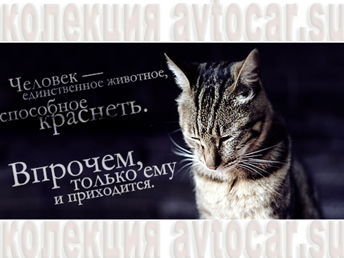 мысли на фото: способный краснеть