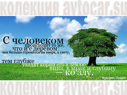 стремление вверх