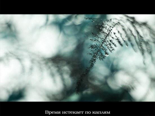 фото: время истекает