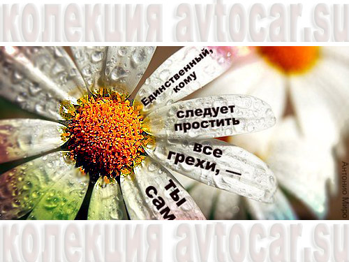ты и грехи