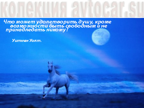 душа и свобода
