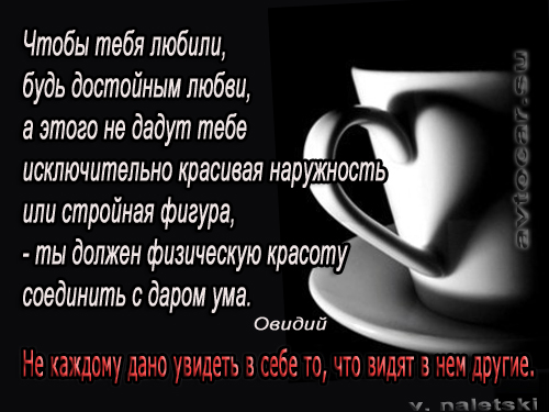 Понять себя афоризмы от Овидия