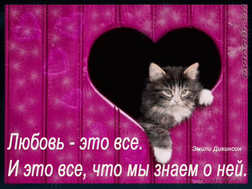 афоризмы о любви: это все
