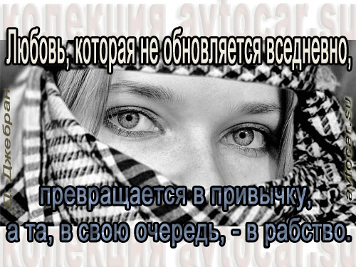 любовь привычка