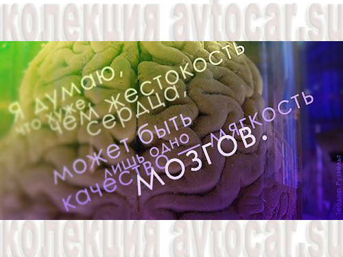 жестокость сердца