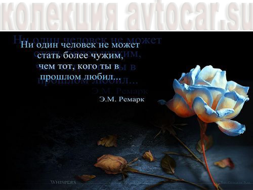 о экс любви