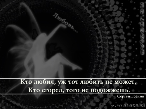 афоризмы в картинках: кто любил