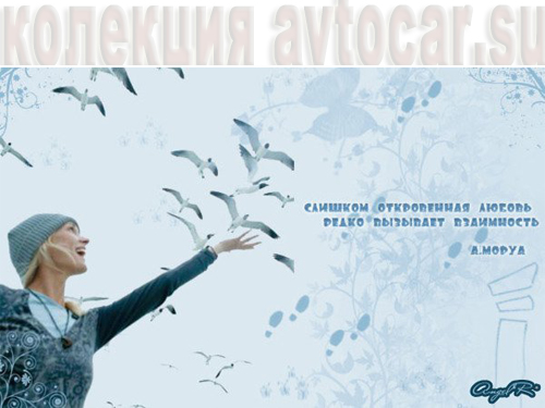 афоризмы об откровенной любови