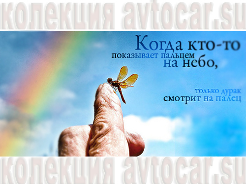 Дурак и палец
