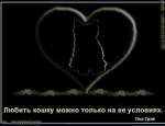 любить кошку