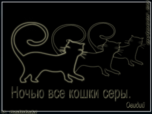 Правдоподобность