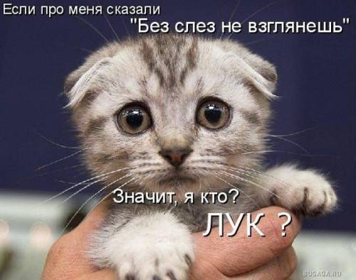 Кто я?