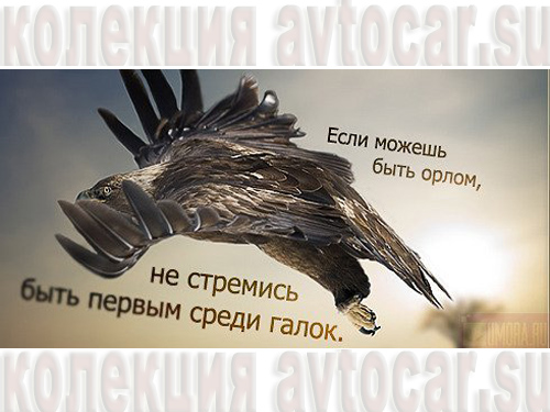 быть орлом