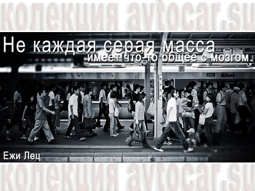 серая масса