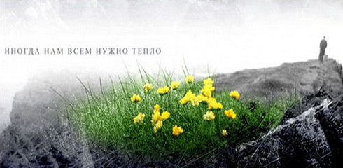 нужно тепло мысли на фото