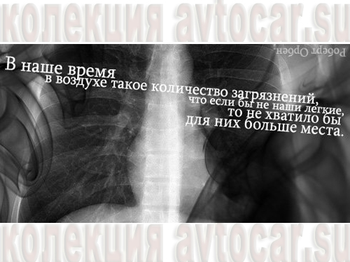легкие