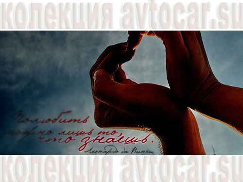 полюбить