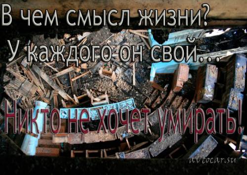 афоризмы о смысле жизни в картинках