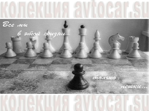 мы пешки в жизни афоризмы в картинках