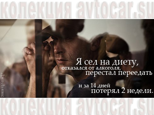 афоризм: осмысленная жизнь
