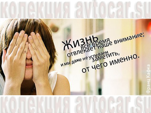 афоризмы про внимательность