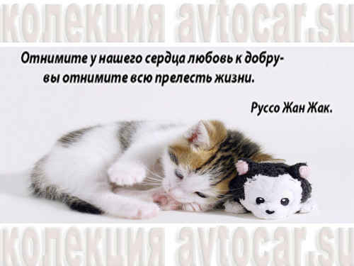 прелесть жизни
