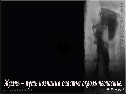 Мысли в картинках: познание