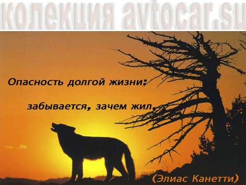 афоризмы в картинках: забыть зачем жил