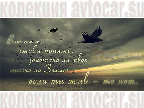 высказывания великих на фото: миссия на земле