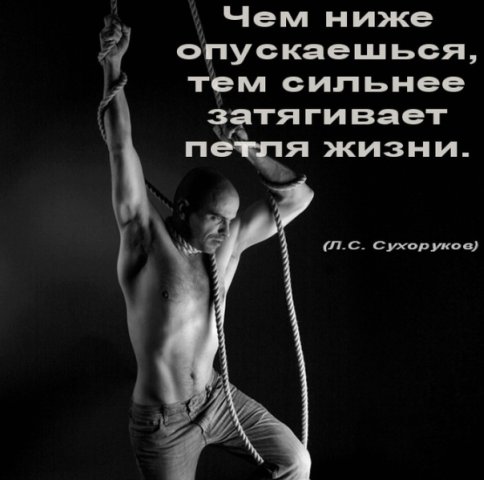 афоризмы в картинках: петля жизни