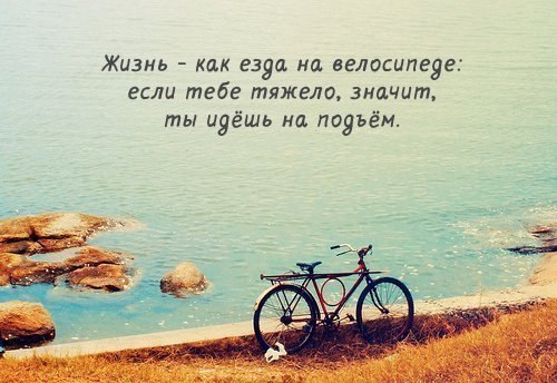 о жизни