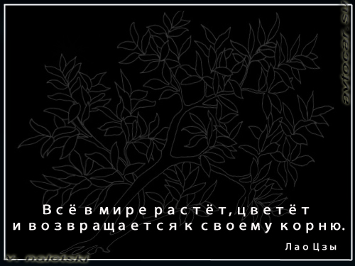 цитаты на чёрном фоне: возвращение к корню
