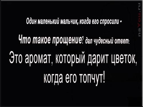 прощение цитаты