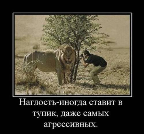 Нагласть